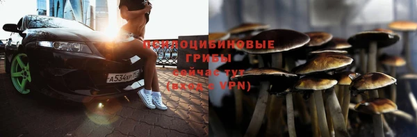 spice Балабаново