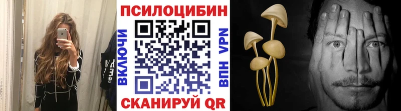 KRAKEN ССЫЛКА Княгинино Псилоцибиновые грибы MAGIC MUSHROOMS цены