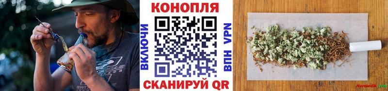 ссылка на мегу вход  Княгинино  Шишки марихуана тримм 